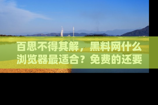 百思不得其解，黑料网什么浏览器最适合？免费的还要能吃瓜太难了！