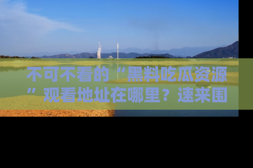 不可不看的“黑料吃瓜资源”观看地址在哪里？速来围观吧！