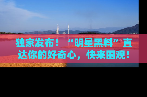 独家发布！“明星黑料”直达你的好奇心，快来围观！