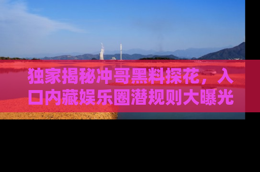 独家揭秘冲哥黑料探花，入口内藏娱乐圈潜规则大曝光
