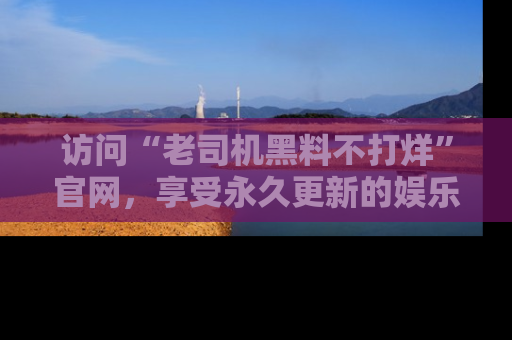 访问“老司机黑料不打烊”官网，享受永久更新的娱乐八卦和内幕新闻！