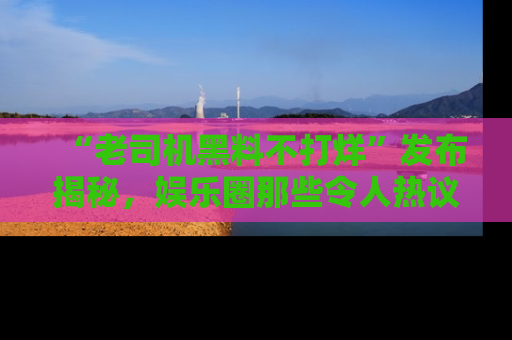 “老司机黑料不打烊”发布揭秘，娱乐圈那些令人热议的黑暗秘密！