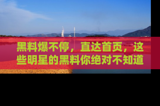 黑料爆不停，直达首页，这些明星的黑料你绝对不知道！