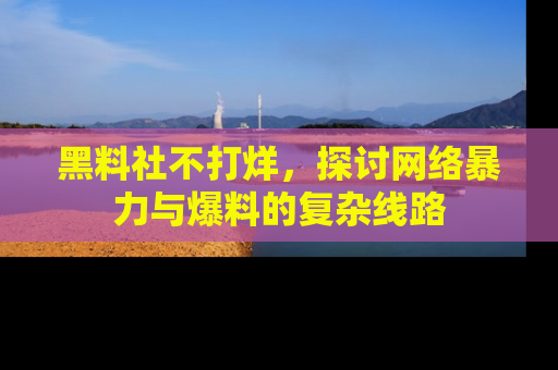 黑料社不打烊，探讨网络暴力与爆料的复杂线路