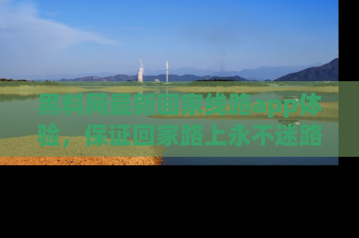 黑料网最新回家线路app体验，保证回家路上永不迷路顺畅