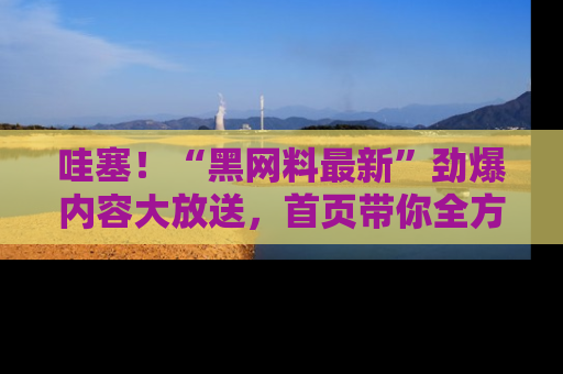 哇塞！“黑网料最新”劲爆内容大放送，首页带你全方位了解哦，小可爱们