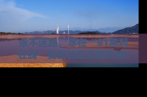 永不迷路,尽在“91黑料在线”更新的吃瓜新天地!