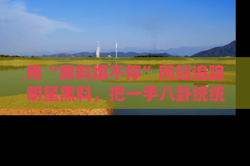 用“黑料爆不停”网站追踪明星黑料，把一手八卦统统收进你的后宫中！
