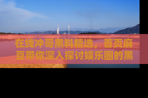 在线冲哥黑料精选,首页麻豆带你深入探讨娱乐圈的黑暗面
