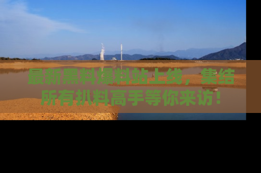 最新黑料爆料站上线，集结所有扒料高手等你来访！